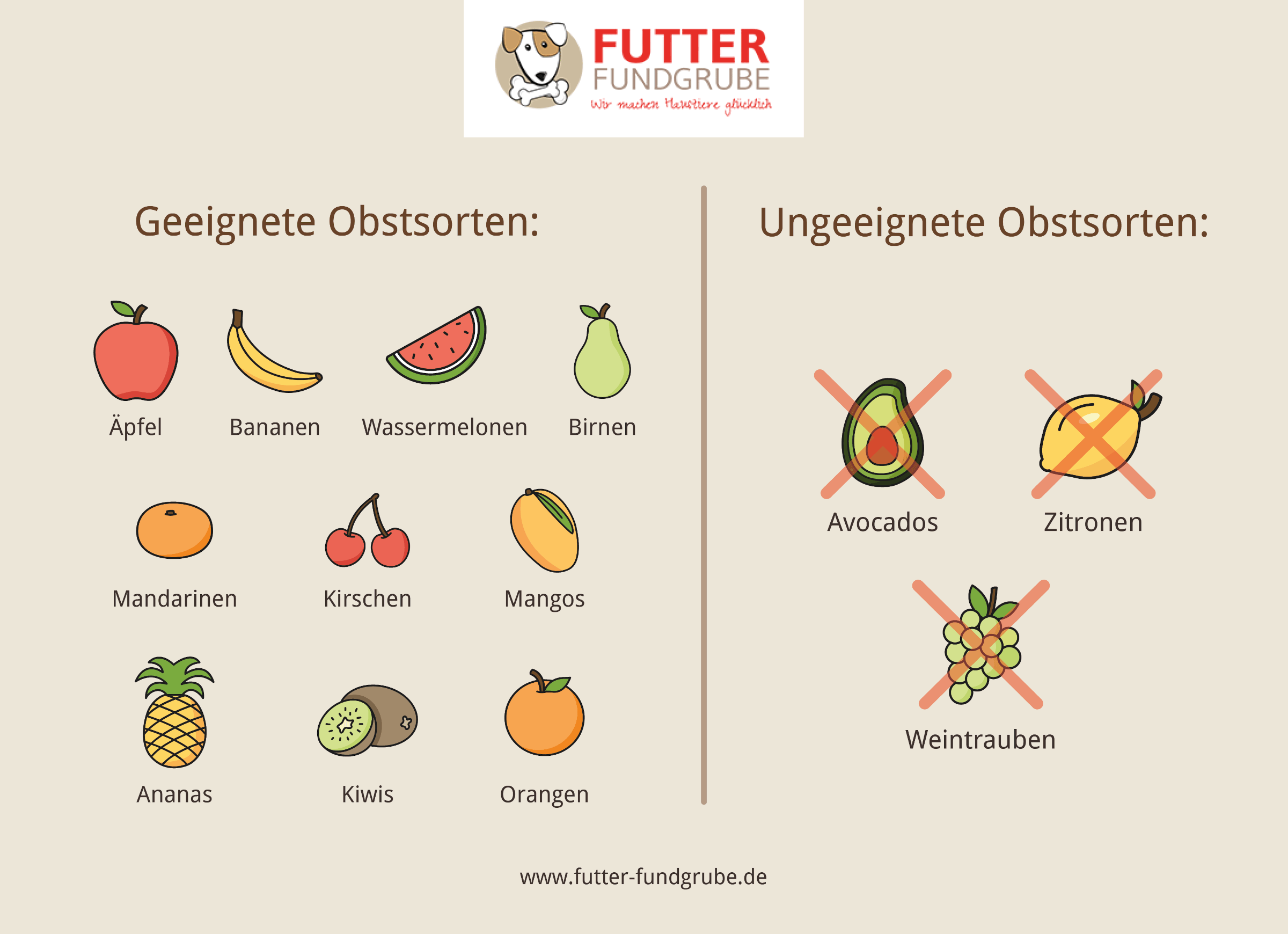 Übersicht, welches Obst für Hunde geeignet oder nicht geeignet ist