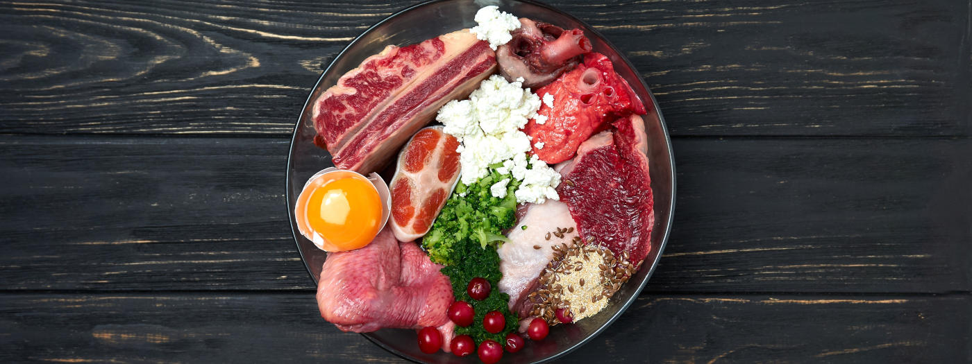 Barf-Menü in einem Futternapf