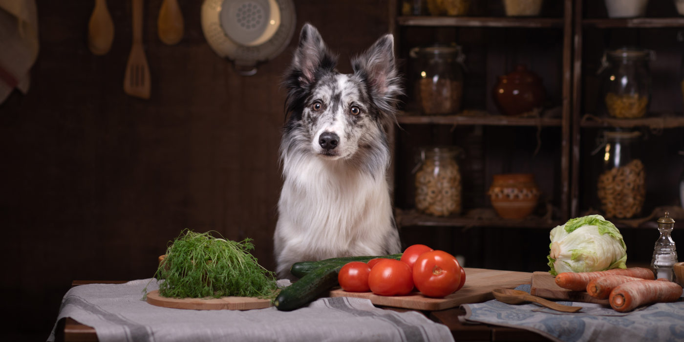 Hund steht hinter einem Tisch mit verschiedenem Gemüse